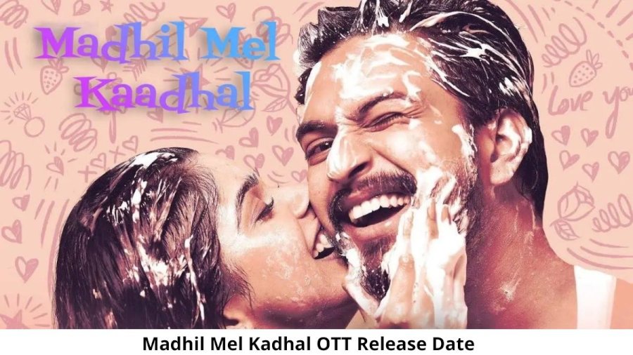 Madhil Mel Kadhal OTT Release Date and Time: Will Madhil Mel Kadhal Movie Release on OTT Platform?